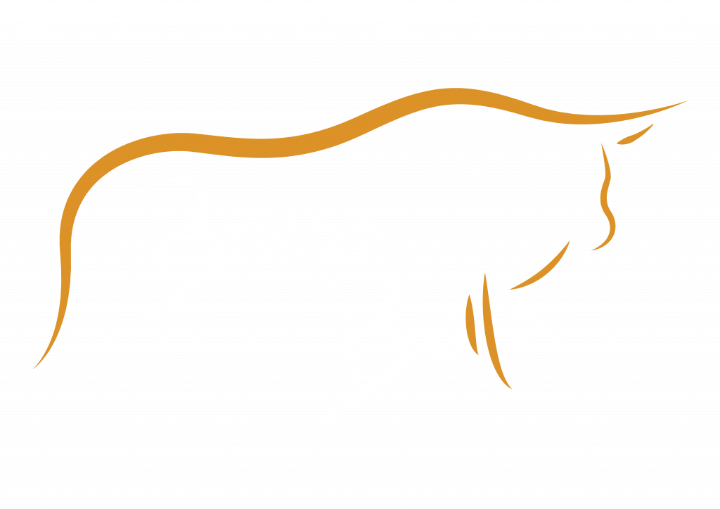 Logo der Band Brass Bulls. Zeigt einen Bullen